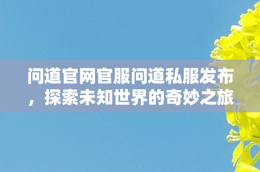 问道官网官服问道私服发布，探索未知世界的奇妙之旅，探索未知世界的奇妙之旅，问道私服发布