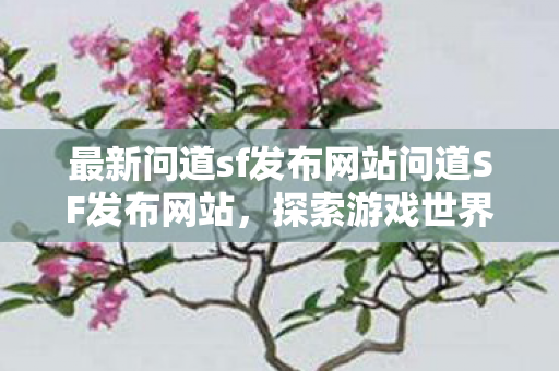 最新问道sf发布网站问道SF发布网站,探索游戏世界的另类选择,探索另类游戏世界,最新问道SF发布网站 最新问道sf发布网站问道SF发布网站,探索游戏世界的另类选择,探索另类游戏世界,最新问道SF发布网站