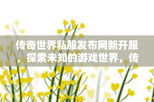 传奇世界私服发布网新开服图片