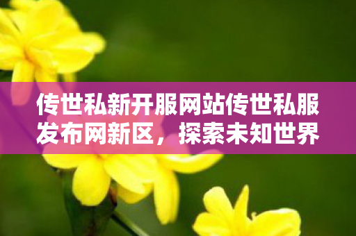 传世私新开服网站传世私服发布网新区图片