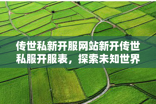 传世私新开服网站新开传世私服开服表图片