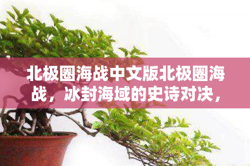 北极圈海战中文版北极圈海战图片