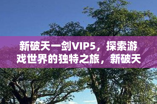 新破天一剑VIP5,探索游戏世界的独特之旅,新破天一剑VIP5,探索游戏世界的独特之旅 新破天一剑VIP5,探索游戏世界的独特之旅,新破天一剑VIP5,探索游戏世界的独特之旅
