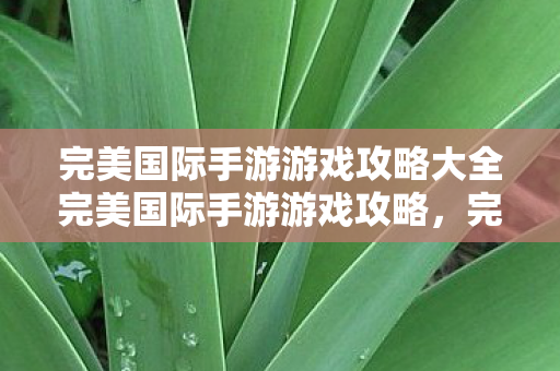 完美国际手游游戏攻略大全完美国际手游游戏攻略图片