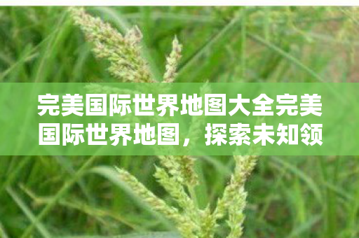 完美国际世界地图大全完美国际世界地图图片