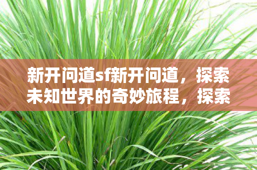 新开问道sf新开问道,探索未知世界的奇妙旅程,探索未知世界的奇妙旅程,新开问道SF等你来挑战 新开问道sf新开问道,探索未知世界的奇妙旅程,探索未知世界的奇妙旅程,新开问道SF等你来挑战