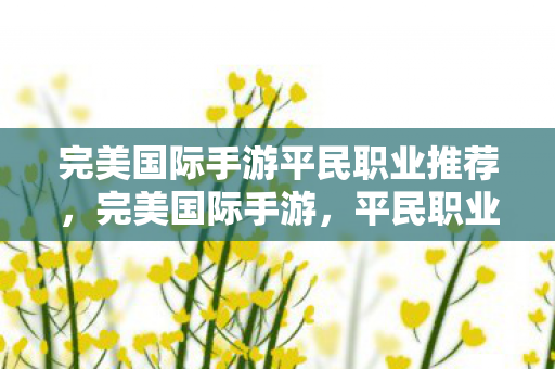 完美国际手游平民职业推荐图片