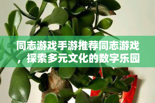 同志游戏手游推荐同志游戏图片