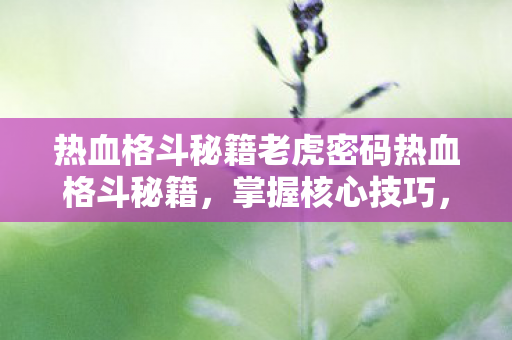热血格斗秘籍老虎密码热血格斗秘籍图片