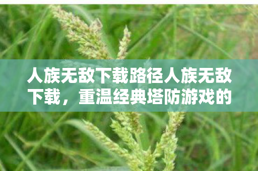 人族无敌下载路径人族无敌下载图片