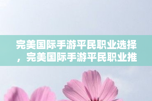 完美国际手游平民职业选择图片
