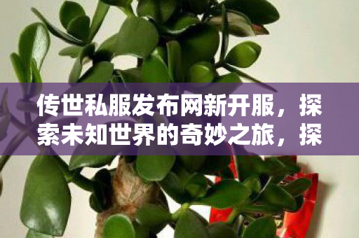 开启未知世界的奇妙冒险之旅图片