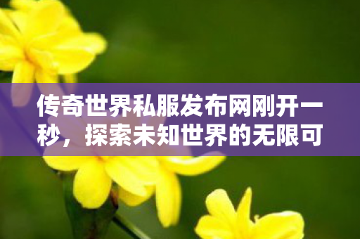 传奇世界私服发布网刚开一秒图片