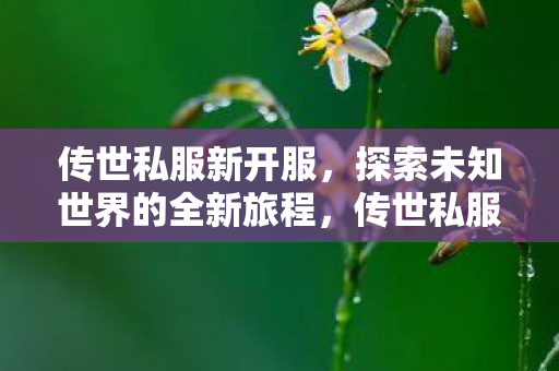 探索未知世界的全新旅程图片
