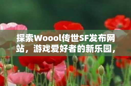 探索Woool传世SF发布网站图片
