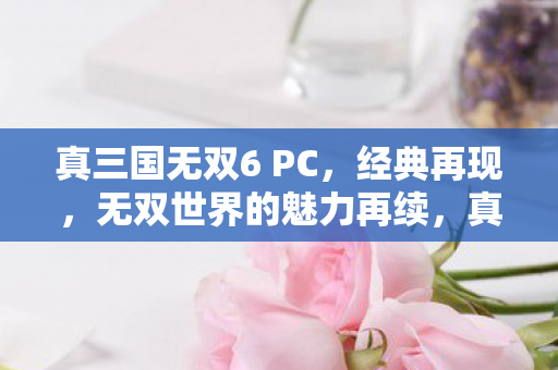 真三国无双6 PC，经典再现，无双世界的魅力再续，真三国无双6PC版，经典再现，无双世界魅力再续