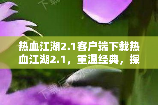 1客户端下载热血江湖2图片