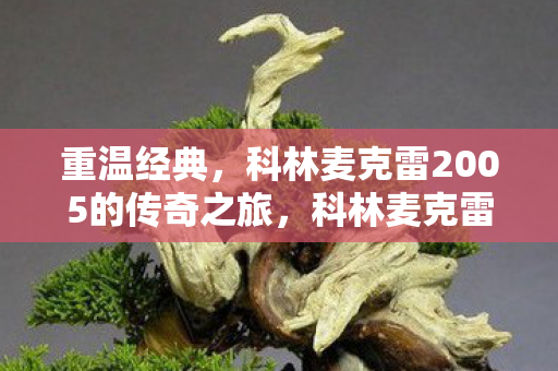 科林麦克雷2005的传奇之旅图片