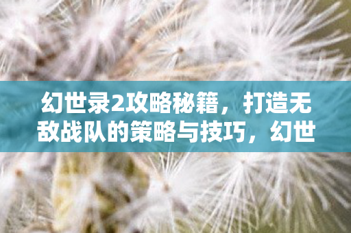 幻世录2攻略秘籍,打造无敌战队的策略与技巧,幻世录2,打造无敌战队攻略秘籍 幻世录2攻略秘籍,打造无敌战队的策略与技巧,幻世录2,打造无敌战队攻略秘籍