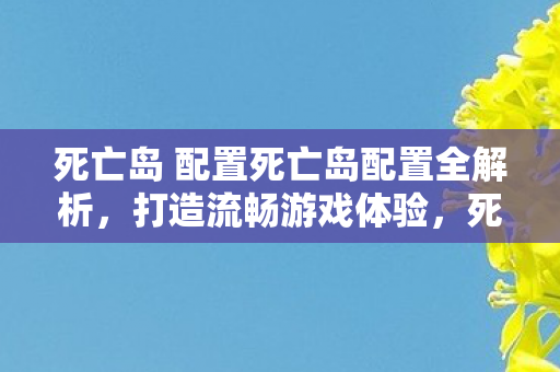 死亡岛 配置死亡岛配置全解析图片