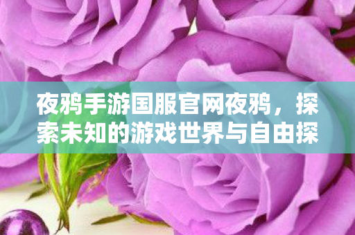 夜鸦手游国服官网夜鸦，探索未知的游戏世界与自由探索的乐趣，夜鸦手游国服官网，探索未知游戏世界，尽享自由探索乐趣