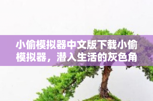 小偷模拟器中文版下载小偷模拟器，潜入生活的灰色角落，小偷模拟器中文版下载，潜入生活的灰色角落