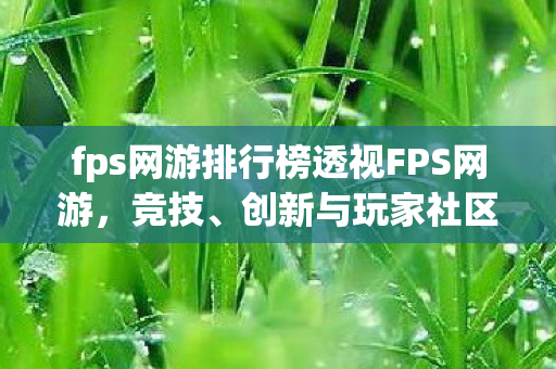 fps网游排行榜透视FPS网游图片