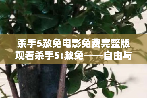 杀手5赦免电影免费完整版观看杀手5图片