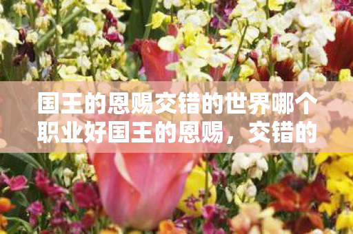 国王的恩赐交错的世界哪个职业好国王的恩赐图片