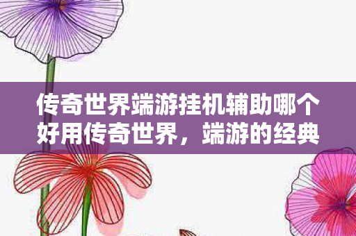 传奇世界端游挂机辅助哪个好用传奇世界图片
