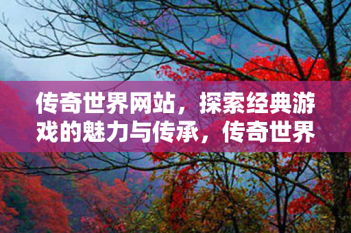 探索经典游戏的魅力与传承图片