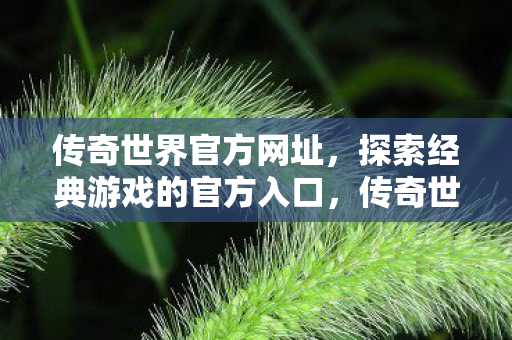 探索经典游戏的官方入口图片