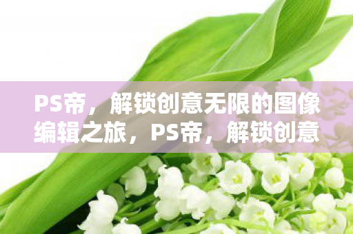 解锁创意无限的图像编辑之旅图片