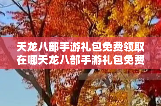 天龙八部手游礼包免费领取在哪天龙八部手游礼包免费领取图片