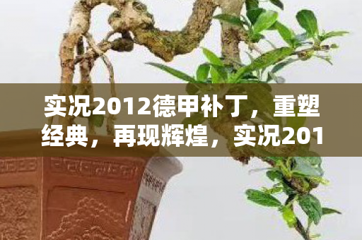 实况2012德甲补丁图片