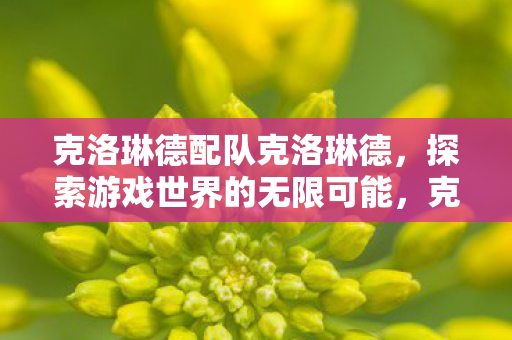 克洛琳德配队克洛琳德,探索游戏世界的无限可能,克洛琳德配队探索游戏世界的无限可能 克洛琳德配队克洛琳德,探索游戏世界的无限可能,克洛琳德配队探索游戏世界的无限可能