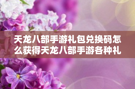 天龙八部手游礼包兑换码怎么获得天龙八部手游各种礼包兑换攻略图片