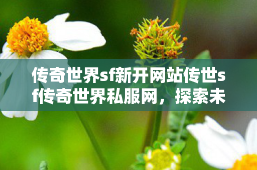 传奇世界sf新开网站传世sf传奇世界私服网图片