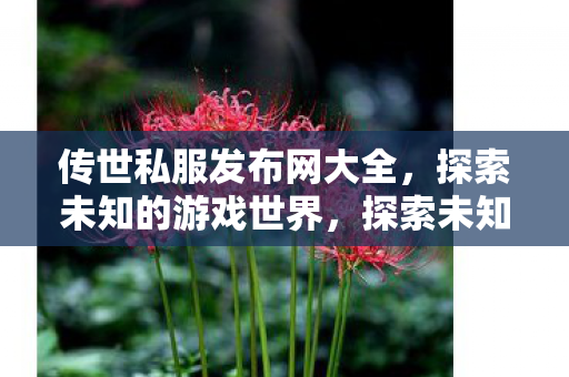 传世私服发布网大全图片