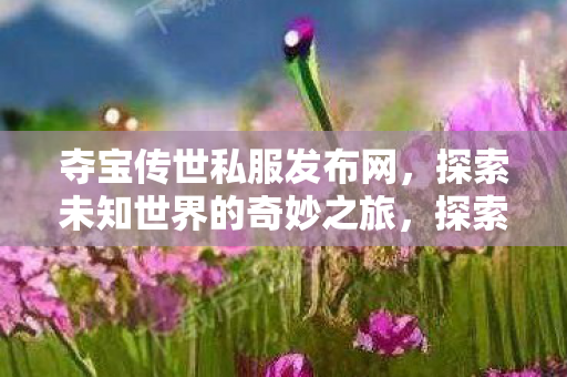 探索未知世界的奇妙之旅图片
