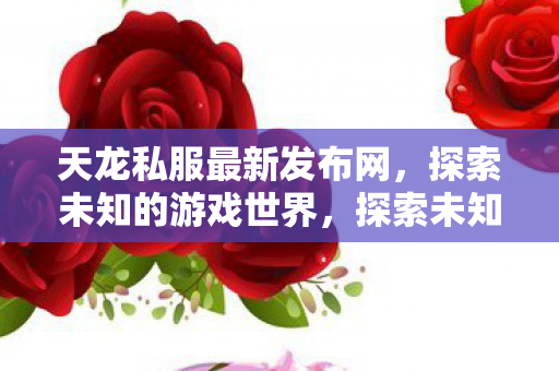 天龙私服最新发布网图片