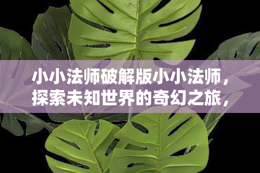 开启探索未知世界的奇幻之旅图片