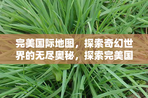 探索奇幻世界的无尽奥秘图片