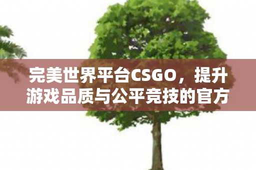 完美世界平台提升游戏品质与公平竞技图片