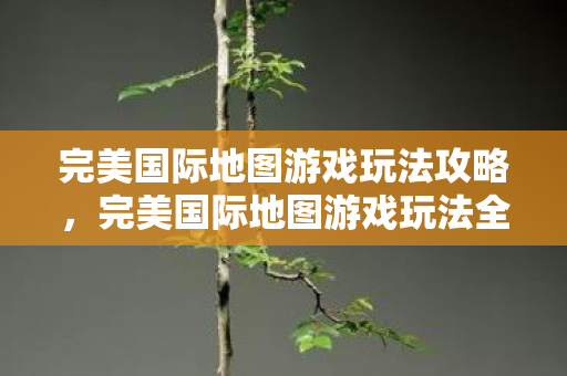 完美国际地图游戏玩法全攻略图片
