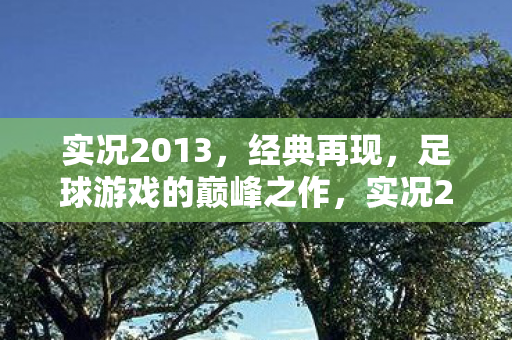 足球游戏的巅峰之作图片