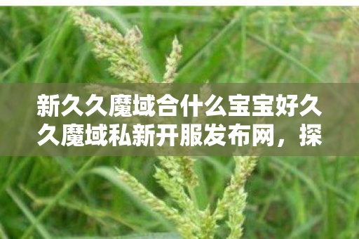 新久久魔域合什么宝宝好久久魔域私新开服发布网图片