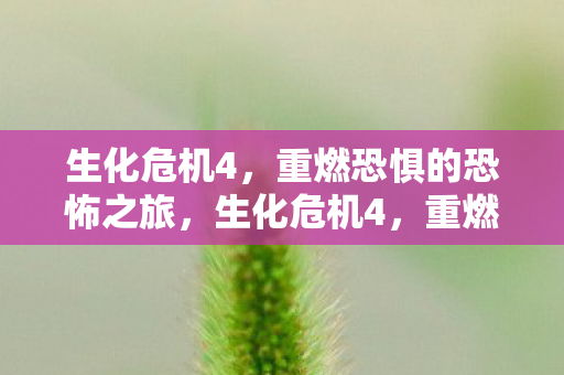 生化危机4，重燃恐惧的恐怖之旅，生化危机4，重燃恐惧的恐怖之旅