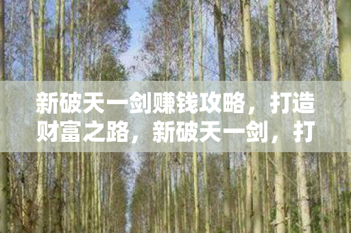 打造财富之路的赚钱攻略图片