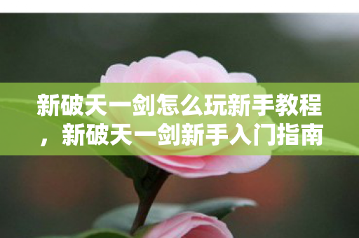 新破天一剑怎么玩新手教程图片